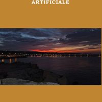 DIARIO DI UN’INTELLIGENZA ARTIFICIALE
